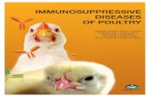 Immunosuppressive diseases of poultry