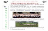 Dorset Sheep Newsletter December 2015