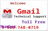 Gmail Technical Support Phone Number 1-800-748-0719