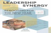 Leadership Synergy | January 2016 |  To download without an account: