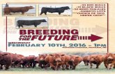 Breeding for the Future 2016 Production Sale