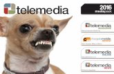 Telemedia Online Media Pack 2016