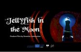 Jellyfish in the Moon presentation
