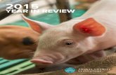 2015 Year In Review | Animal Charity Evaluators