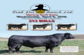 Peak Dot Ranch Spring Bull Sale 2016