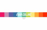Portfolio - Evan Collins - 2016