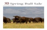 RA Brown Ranch 2016 Spring Bull Sale