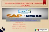 SAP ISU BILLING&INVOICE ONLINE TRAINING IN CHENNAI|BANGALORE|PUNE