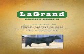 LaGrand Angus Ranch 2016 Annual Production Sale