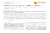 Molecular Analysis of Biofield Treated Sponge and Bitter Gourd