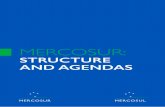 MERCOSUR: Structure and Agendas