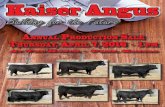 Kaiser Angus 2016 Production Sale