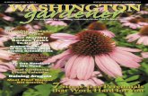 Washington Gardener Magazine March 2016
