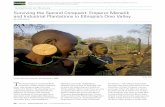 Surviving the Second Conquest: Emperor Menelik and Industrial Plantations in Ethiopia’s Omo