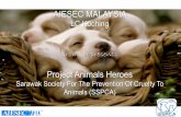 Animals Heroes 3.0 project booklet