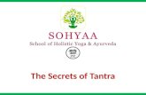 The secrets of tantra