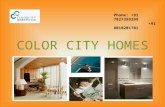 Color city homes