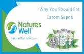 Why You Should Eat Carom Seeds | Nutrition Supplements | Health Supplements