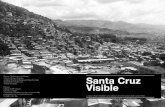 Santa Cruz Visible