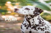 E Dalmatians June July 2016 Edition