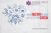 Best cardiology hospital in chennai - HOW STRESS IN JOBS AFFECTS THE HEART