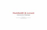 Humboldt Blvd & Locust St Intersection Analysis