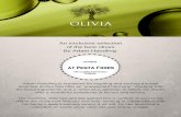 Oliva olive oils by adam handling