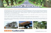 Tree Safety CKD Galbraith