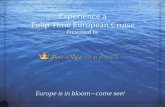 Experience a Tulip Time European Cruise