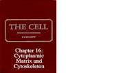 Chapter 16: Cytoplasmic Matrix and Cytoskeleton
