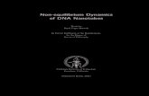 Non-equilibrium Dynamics of DNA Nanotubes