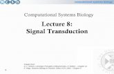 Lecture 7: Signal Transduction - Ed