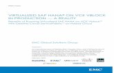 Virtualized SAP HANA on VCE VBlock In Production – A Reality