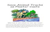 Save Animal Tracks as Plaster Casts