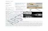 SBIR Technical Proposal - AirShip VTOL UAV Transformer
