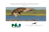Living with Ospreys in New Jersey: A guide for the removal ...