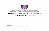 INDUSTRIAL TRAINING GUIDELINES