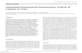 Automated Homogeneous Immunoassay Analysis of Cotinine in Urine