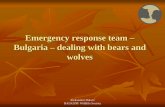 Emergency response team – Bulgaria – dealing with bears and wolves