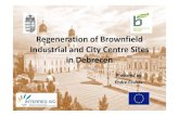 Regeneration of Brownfield Industrial and City Centre Sites in ...