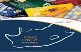 2013 Card Fraud