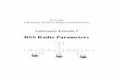 BSS Radio Parameters