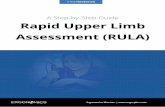 Rapid Upper Limb Assessment (RULA) - Ergonomics Plus