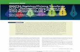 ReseaRch BRief DNMT3A Haploinsufficiency Transforms FLT3ITD ...
