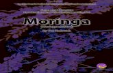 Farm and Forestry Production and Marketing Profile for Moringa ...