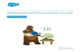 Metadata API Developer Guide