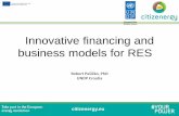Innovative Financing and Business Models for Renewable Energy