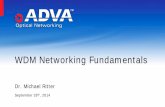 WDM Networking Fundamentals