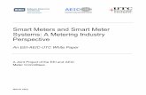 Smart Meters and Smart Meter Systems: A Metering Industry ...