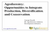 Forest Farming: Agroforestry for NTFR Production